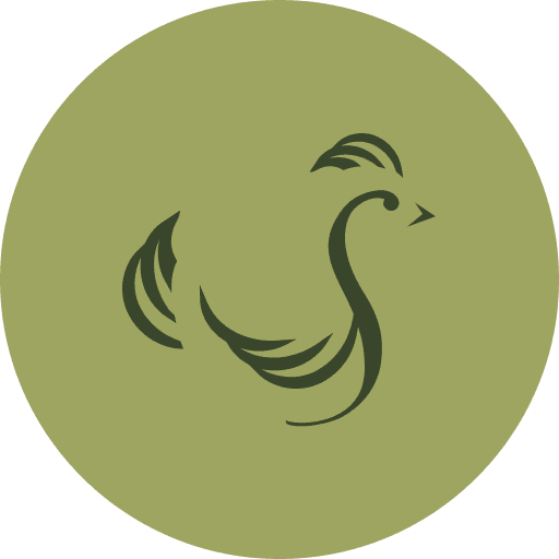 Scandi Standard logo