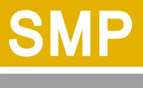 RWD_新普科技股份有限公司 logo