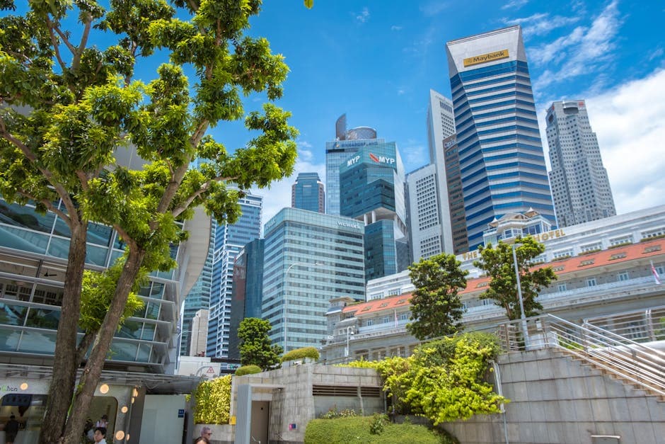 Singapore, World Bank Partner to Scale National Carbon Markets · Photo by Arian Fernandez on Pexels