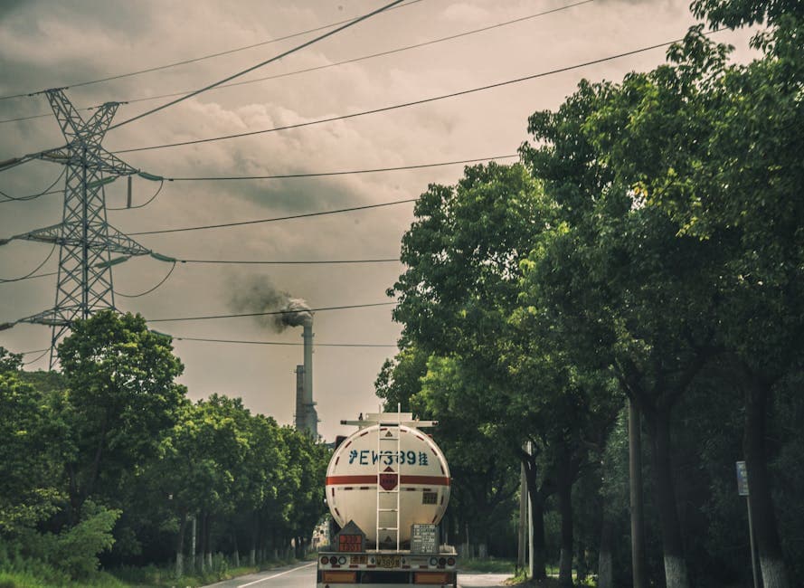 McDonald’s to Miss 2030 Value Chain Decarbonization Goal, Remains Committed to Net Zero by 2050 · Photo by 女子 正真 on Pexels