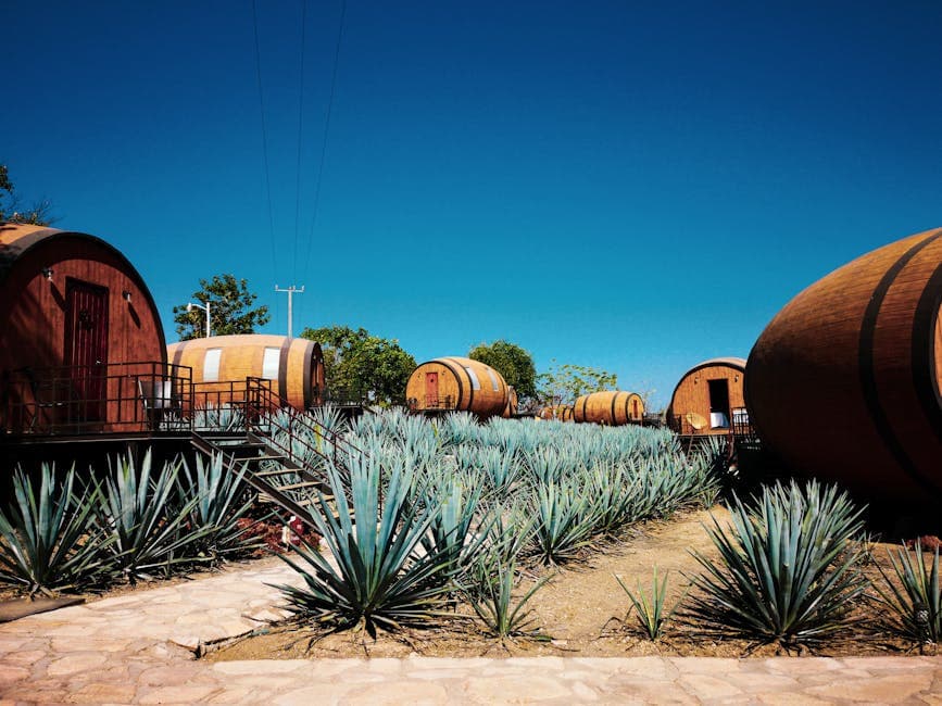 Tequila waste biomaterials and electric truck infrastructure: The best green innovations of May 2026 · Photo by Walter Alejandro on Pexels