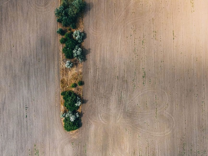 Policies for Regenerative Landscape Action · Photo by Артем Дворецкий on Pexels