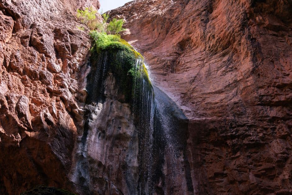 This desert oasis is a biological wonderland. Trump’s border wall threatens to destroy it · Photo by Alex Moliski on Pexels