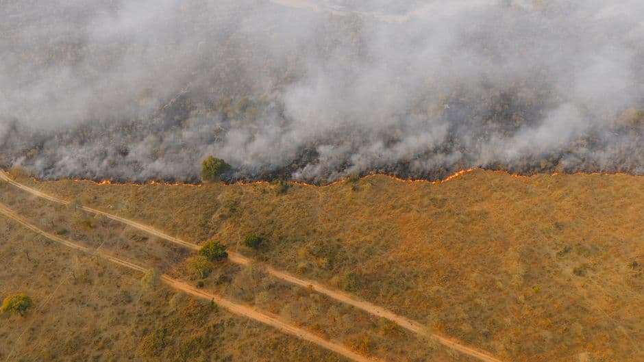 SBTi issues call for input to inform revision of Forest, Land and Agriculture Standard - Science Based Targets Initiative · Photo by K on Pexels