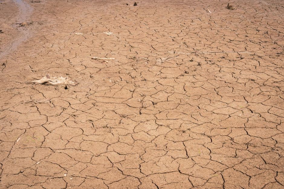 The Guardian view on drought: hot, dry conditions make inequality starker | Editorial · Photo by Mark Stebnicki on Pexels