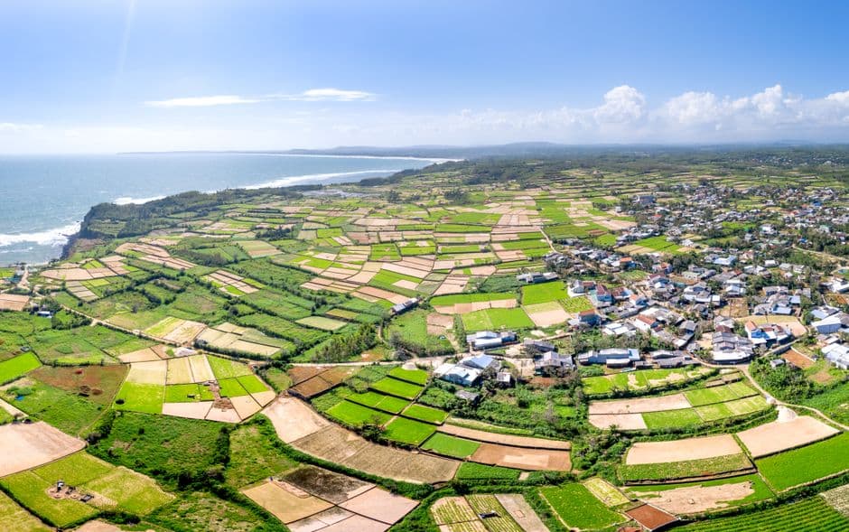 A new Queensland bill aims to ‘streamline’ major projects. Matt and Caitlin fear it could hand their farm to developers · Photo by Quang Nguyen Vinh on Pexels