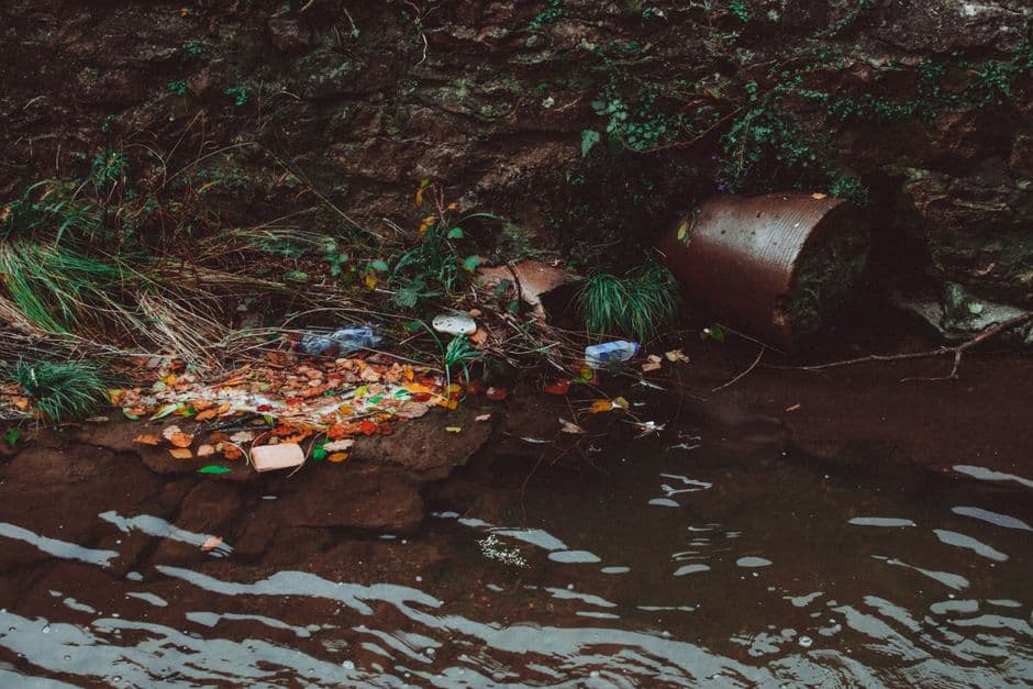 ‘Nobody cares’: the Turkish farmers bearing the burden of UK’s plastic waste problem · Photo by Lisa from Pexels on Pexels