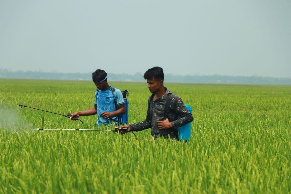 The herbicide haunting a New York farm town · Photo by Liton Miah on Pexels