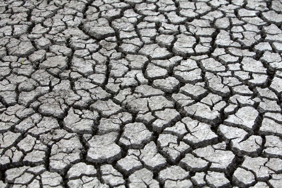 Three-quarters of England in drought as summer’s fifth heatwave looms · Photo by Jeffry Surianto on Pexels