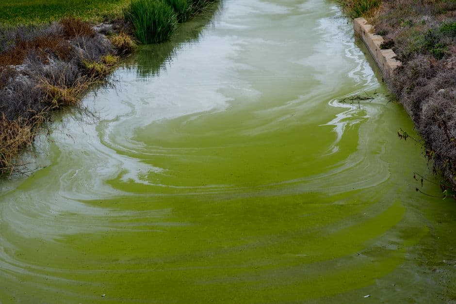 Thames Water 'flagship' chalk stream rated as poor · Photo by Victor Moragriega on Pexels