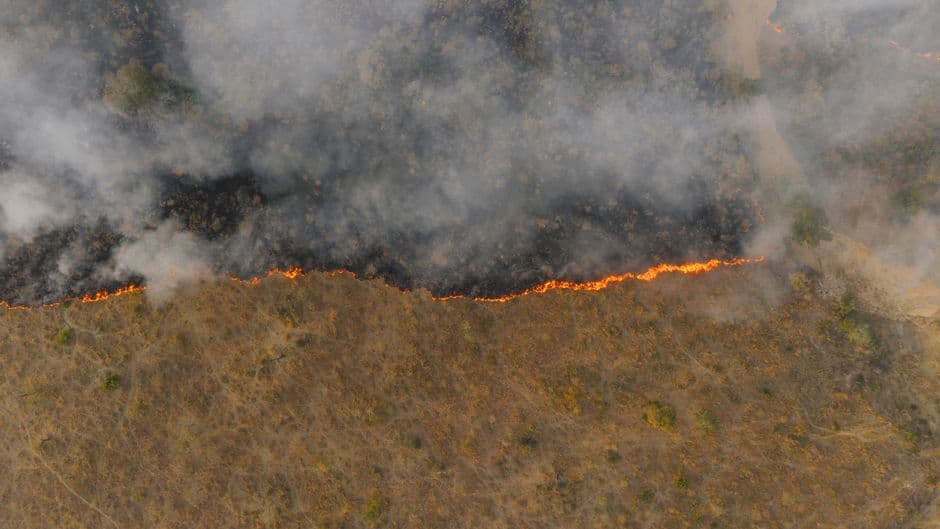 The Guardian view on wildfires: firefighters can’t handle this crisis alone | Editorial · Photo by K on Pexels
