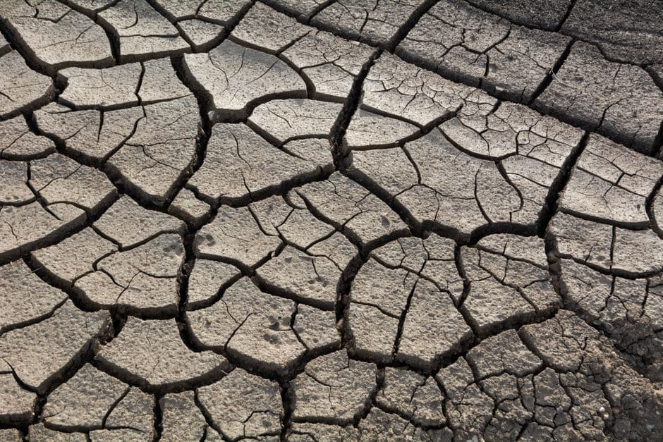 El Niño may peak at the worst time for the Amazon – and it should worry us all · Photo by Davide Negro on Pexels