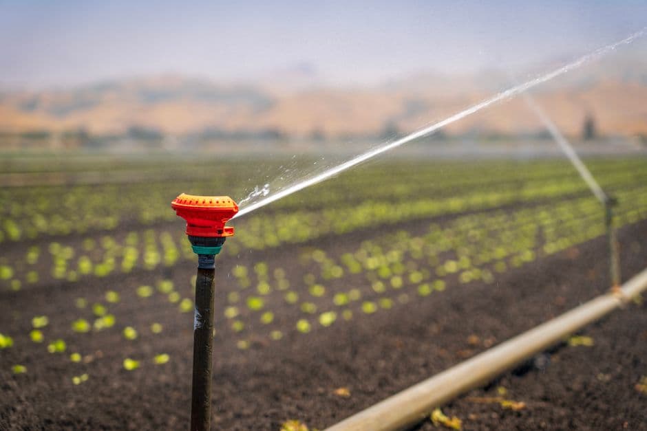 How ‘hidden’ water risks could create $6.4bn loss for agri-food giants · Photo by Mark Stebnicki on Pexels
