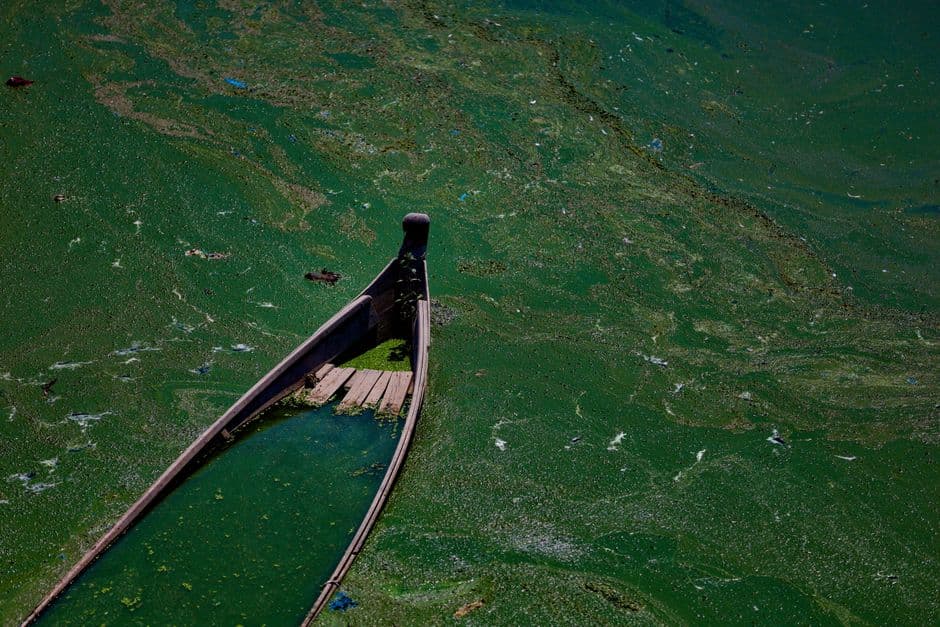 My family have fished this river for 300 years - now pollution has killed all the fish · Photo by Tony Wu on Pexels