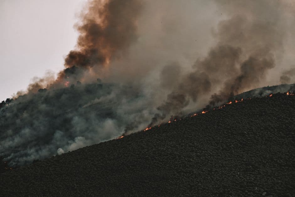Pine-cone grenades and planet-baking carbon: the French fires 170 years in the making – a visual guide · Photo by Tim Mossholder on Pexels