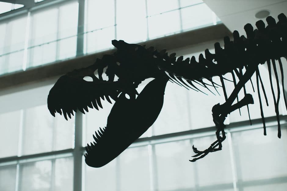 London Science Museum cuts links with BP after decades of partnership · Photo by Jonathan Cooper on Pexels