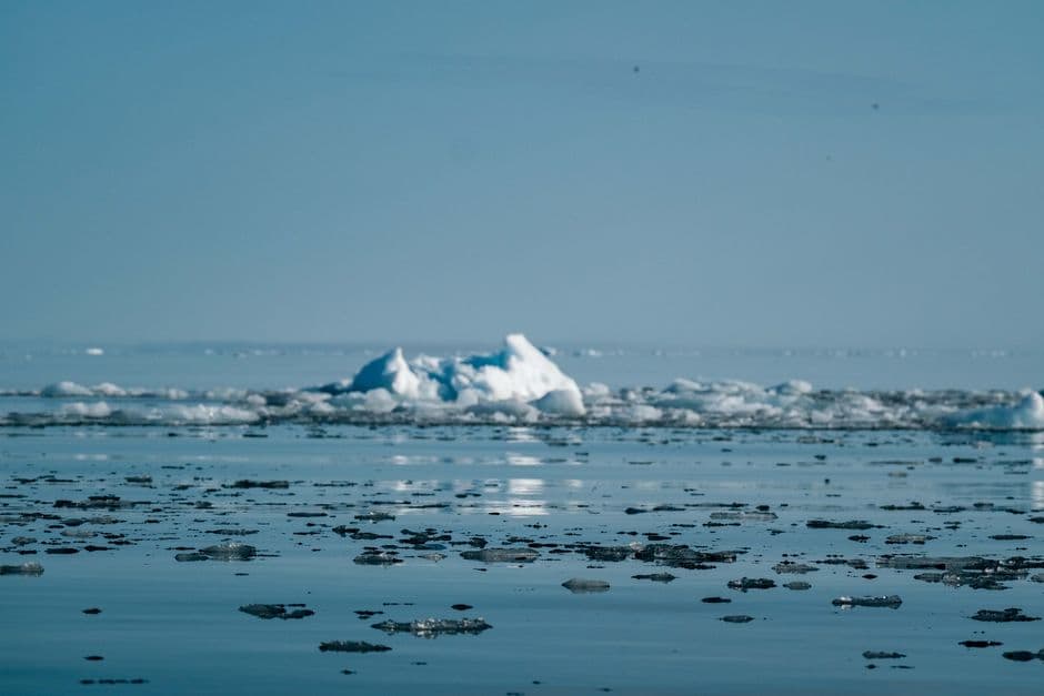 The place that never freezes: the Arctic habitat where global heating threatens more ice, not less · Photo by Francesco Ungaro on Pexels