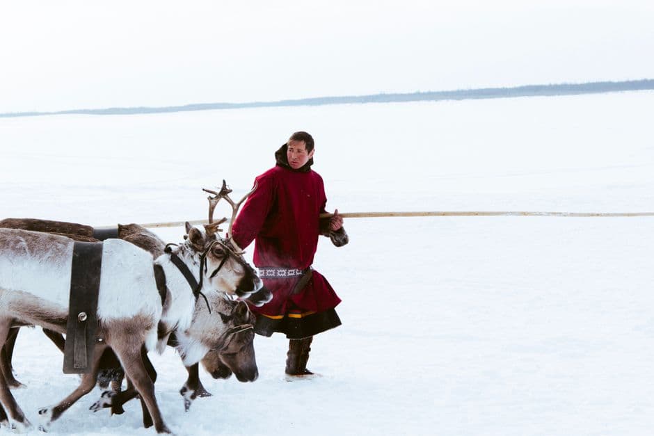 Reindeer and rare-earth minerals: Swedish politicians take aim at Indigenous Sami in mining dispute · Photo by Ganimat Pashazade on Pexels