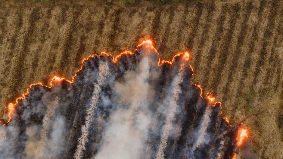 The volunteers risking their lives to defuse Indonesia's wildfire 'carbon bombs' · Photo by K on Pexels
