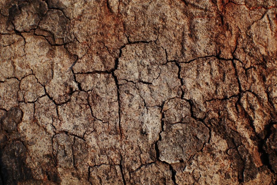 ‘We can see into the other room’: insurers face surge in subsidence claims · Photo by Nothing Ahead on Pexels