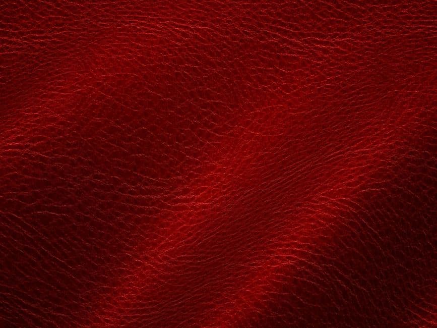 Hide and chic: are clothes and apparel made from alternative leathers better for the environment? · Photo by 3D Render on Pexels