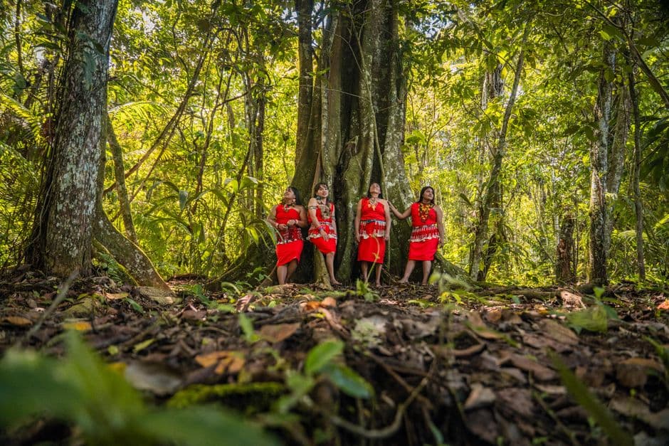 ‘Carbon fever’ threatens hard-won Indigenous rights in Bolivian Amazon · Photo by Bill Salazar on Pexels