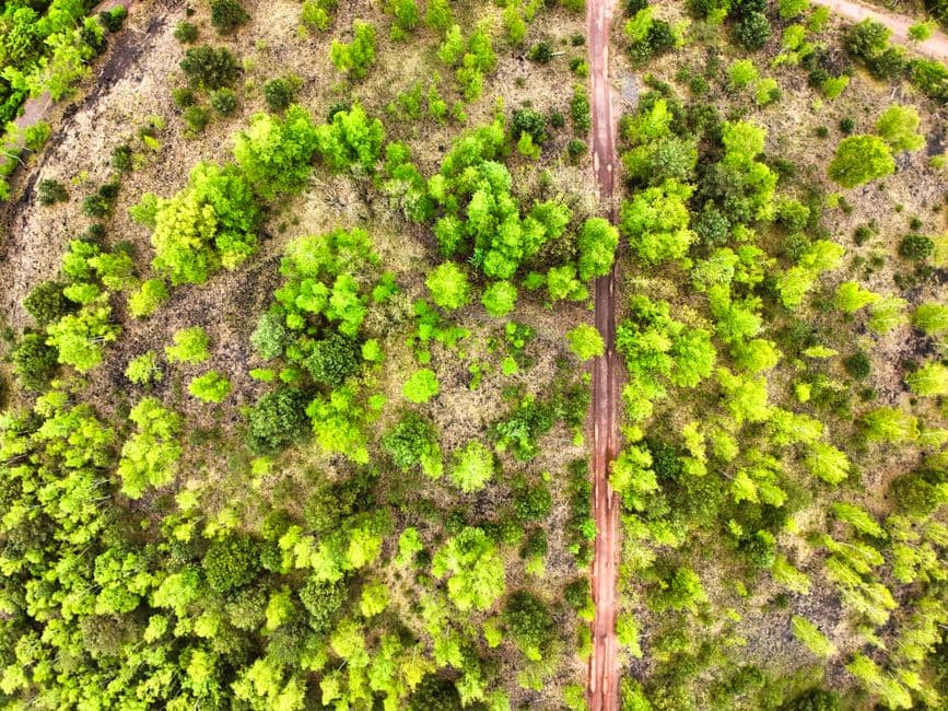 Waitrose and Novo Nordisk validate new science-based nature targets · Photo by Volker Braun on Pexels