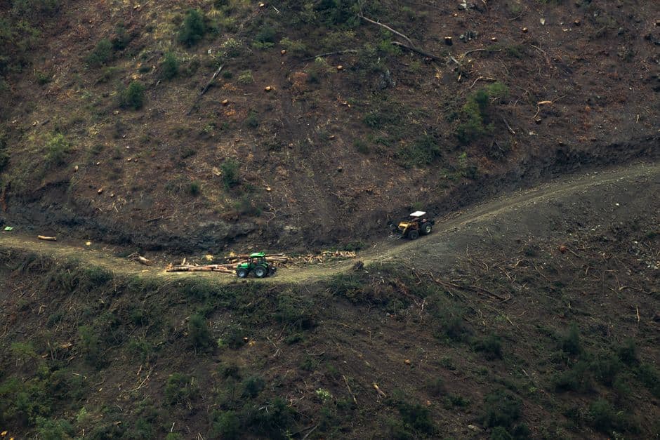 Colombia and Brazil deadliest countries for environmental activists, report says · Photo by Emrecan Dora on Pexels