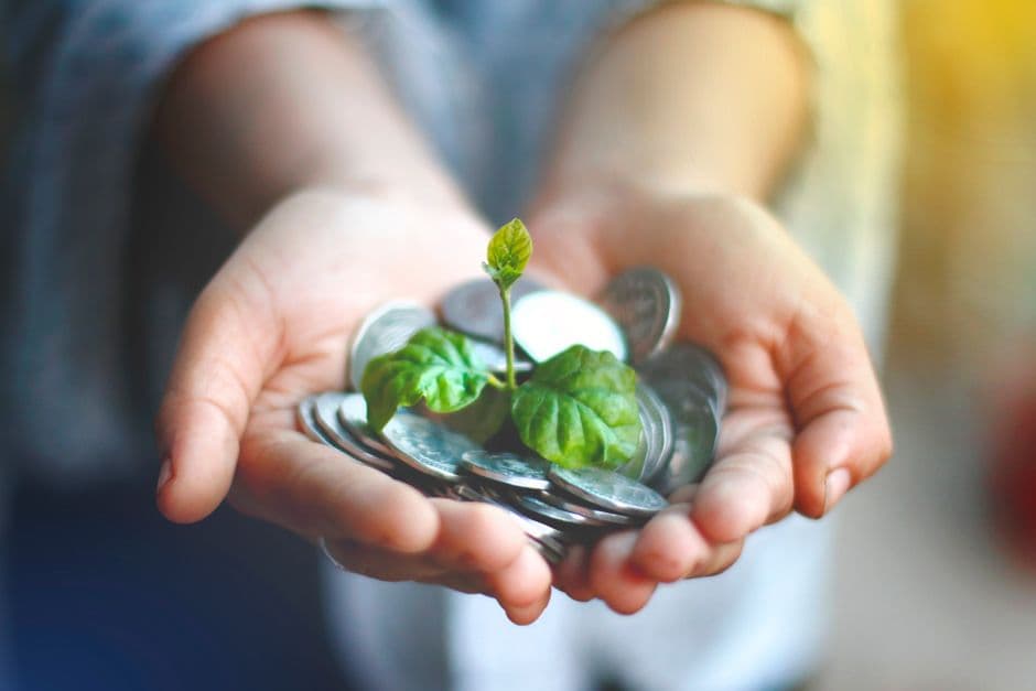 LOIM Launches New U.S. and Japan Net Zero Equity Funds · Photo by Akil Mazumder on Pexels