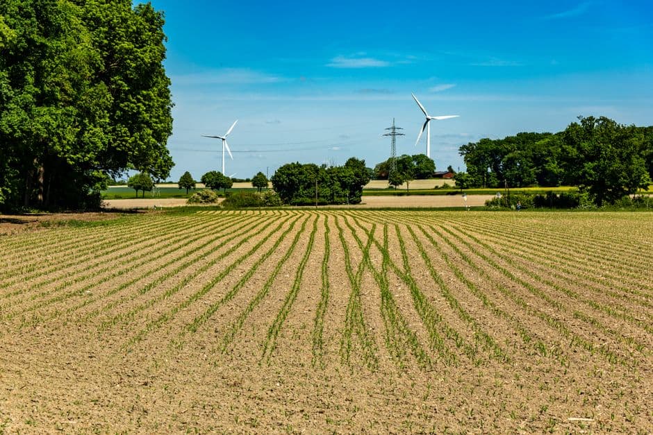 Brazil’s wind farms have been a huge success. So why isn’t everybody reaping the benefits? · Photo by Sergej ***** on Pexels