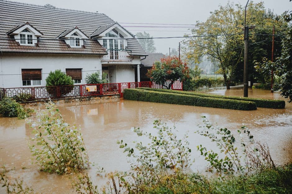 MPs call for flood insurance scheme reform over insurers’ fossil fuel links · Photo by Helena Jankovičová Kováčová on Pexels
