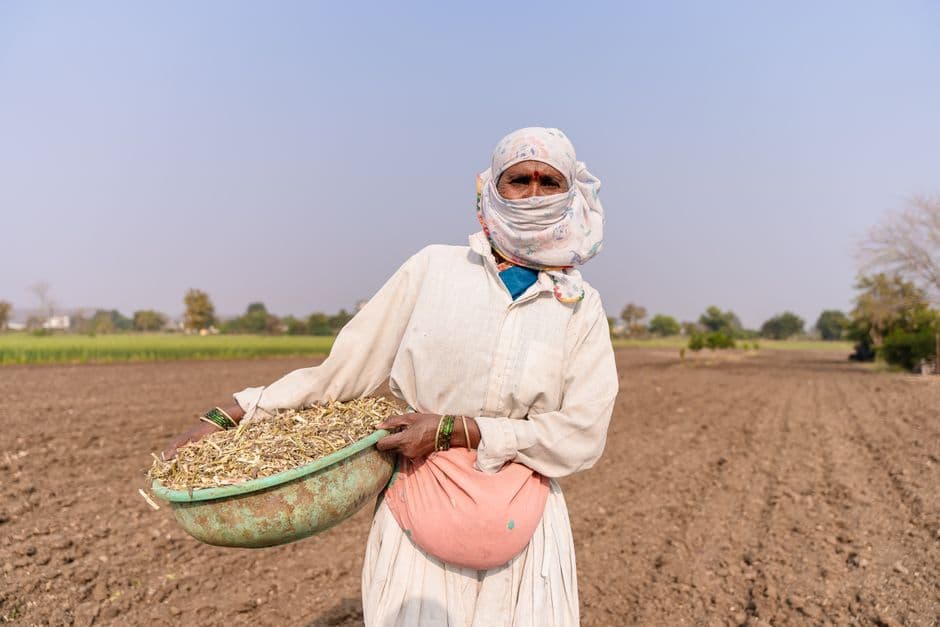 ITC Limited: Scaling Climate-Smart Agriculture Across Indian Value Chains · Photo by EqualStock IN on Pexels