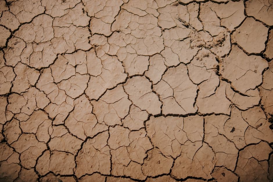 The Guardian view on a supersized El Niño: a natural phenomenon and human folly are a lethal combination | Editorial · Photo by Abdullah Öğük on Pexels