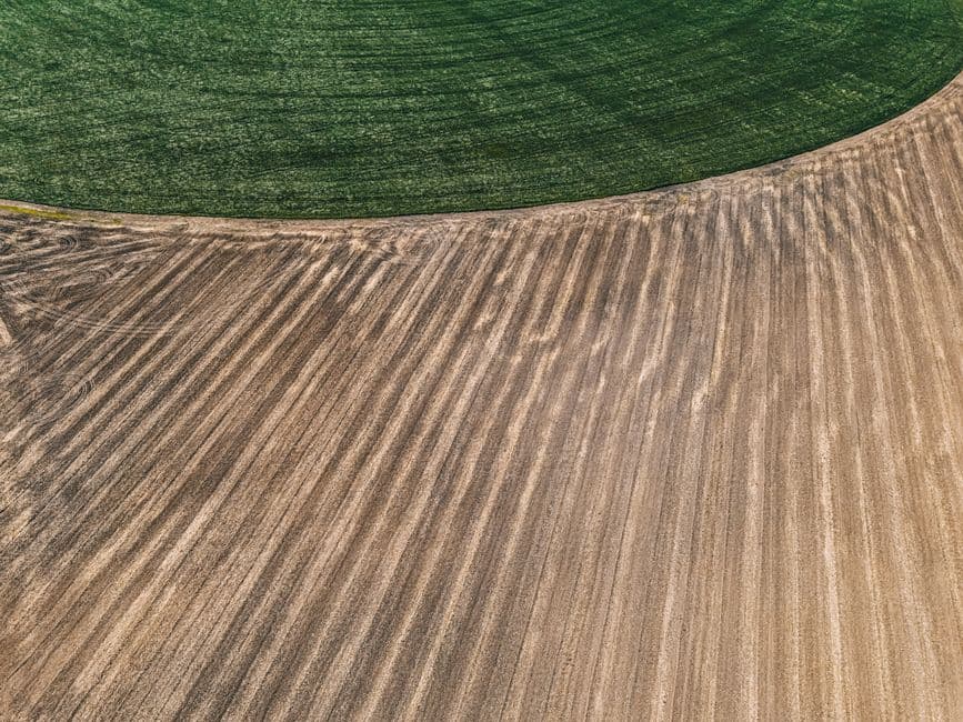 ‘We can’t ride this storm’: the English farmers facing uncertainty after sustainability funding runs dry · Photo by Артем Дворецкий on Pexels