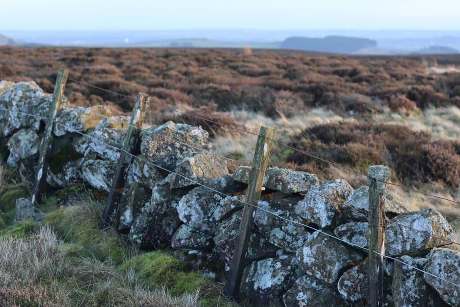 ‘People are standing up and fighting back’: the north Devon revolt against a vast AI datacentre · Photo by Normunds Ispwich on Pexels