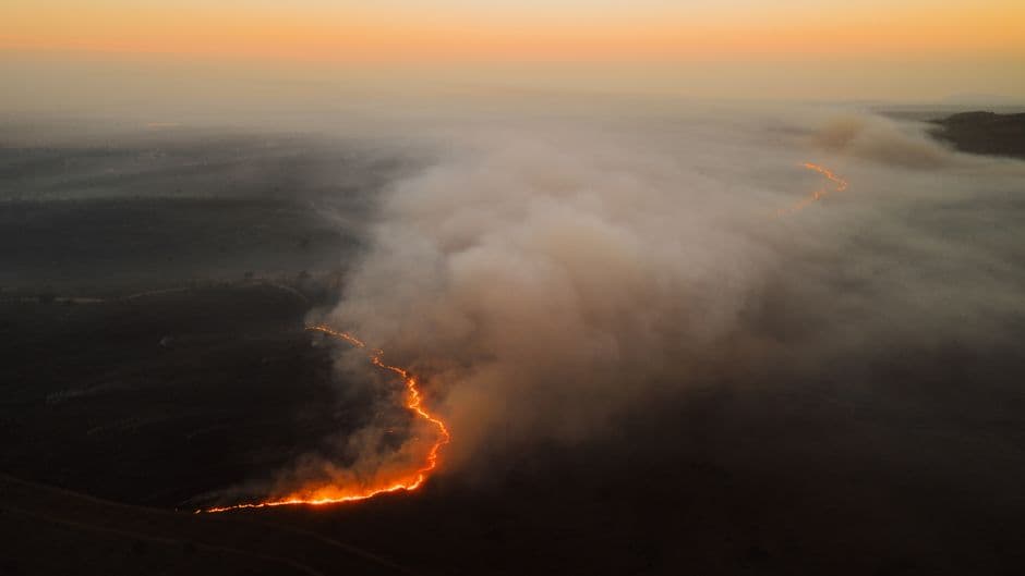 ‘The toll is huge’: El Niño-driven wildfires overwhelm Indonesia’s orangutan population · Photo by K on Pexels