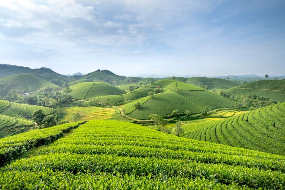 ‘They raped our country’: documentary follows Kenyans’ fight for restitution over stolen land · Photo by Quang Nguyen Vinh on Pexels