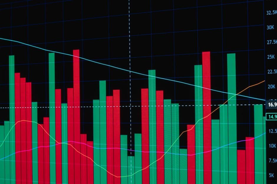 EY Launches Framework to Quantify Financial Impact of Sustainability Risks and Opportunities · Photo by Rafael Minguet Delgado on Pexels