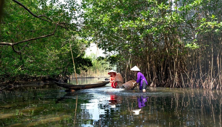 One green shoot at a time: the women restoring mangrove forests in the oil-ravaged Niger delta · Photo by Quang Nguyen Vinh on Pexels
