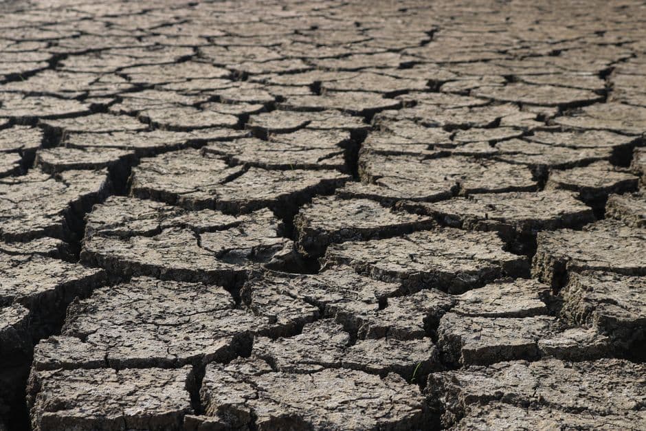 May heatwaves, deaths, ruined harvests: study of Europe’s summer paints grim picture for the future · Photo by Feyza Daştan on Pexels