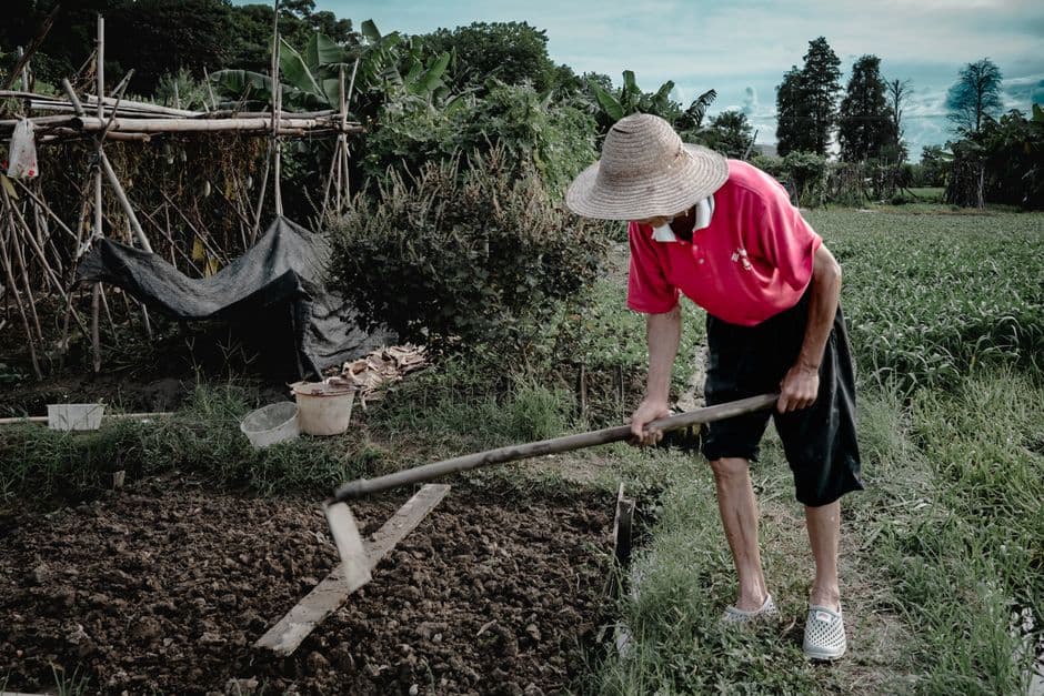 From the farm to your door: How our global food system exploits workers · Photo by dongfang xiaowu on Pexels