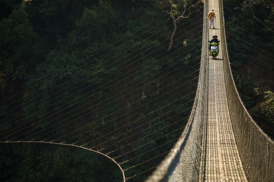Animals crossing: the simple solution to stop roadkill in the Amazon · Photo by Sergei Shmigelskii on Pexels