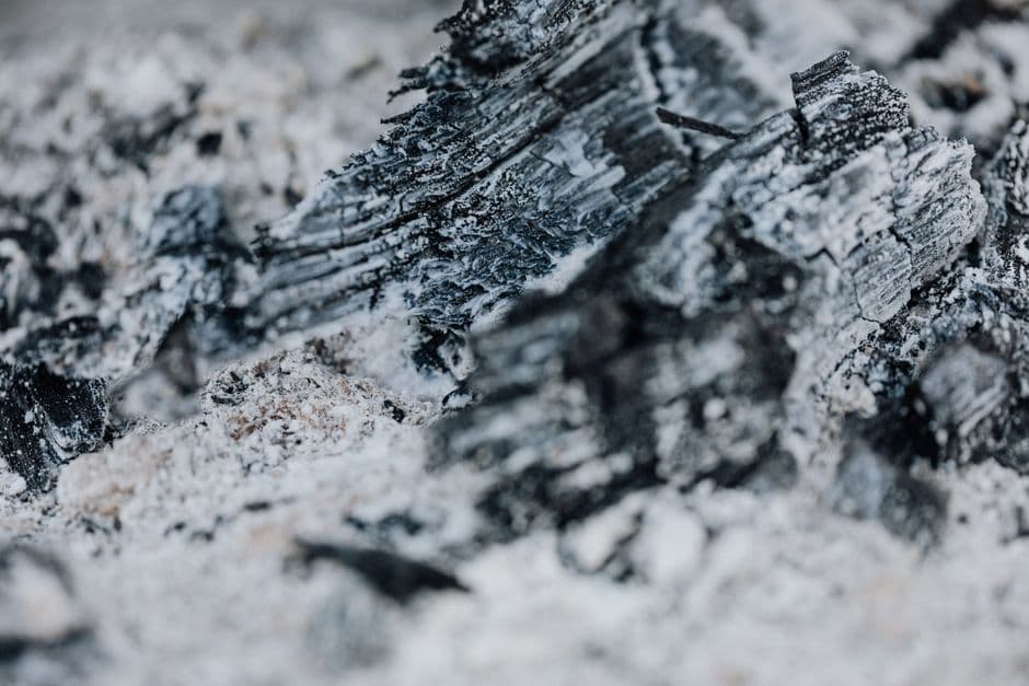 Google, Stripe, Shopify Sign Carbon Removal Deal with CO2-Into-Rock Startup 44.01 · Photo by https://kaboompics.com/ on Pexels