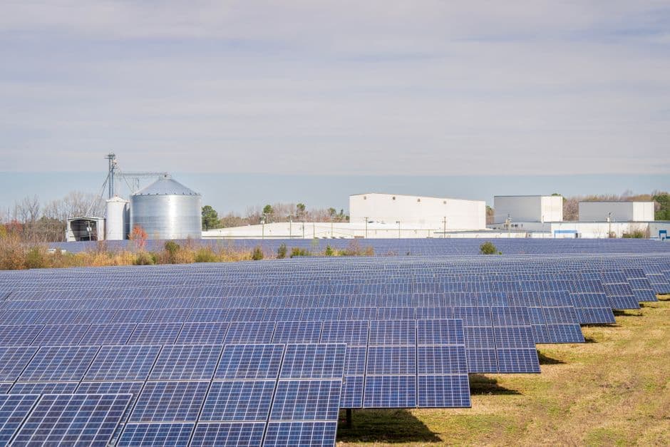 Trump just effectively killed a popular solar energy program for rural America · Photo by Mark Stebnicki on Pexels