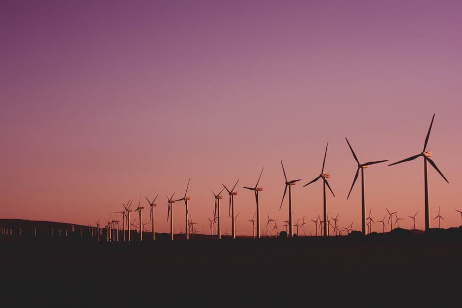 Demand for green skills is growing twice as fast as global supply, LinkedIn finds · Photo by Narcisa Aciko on Pexels