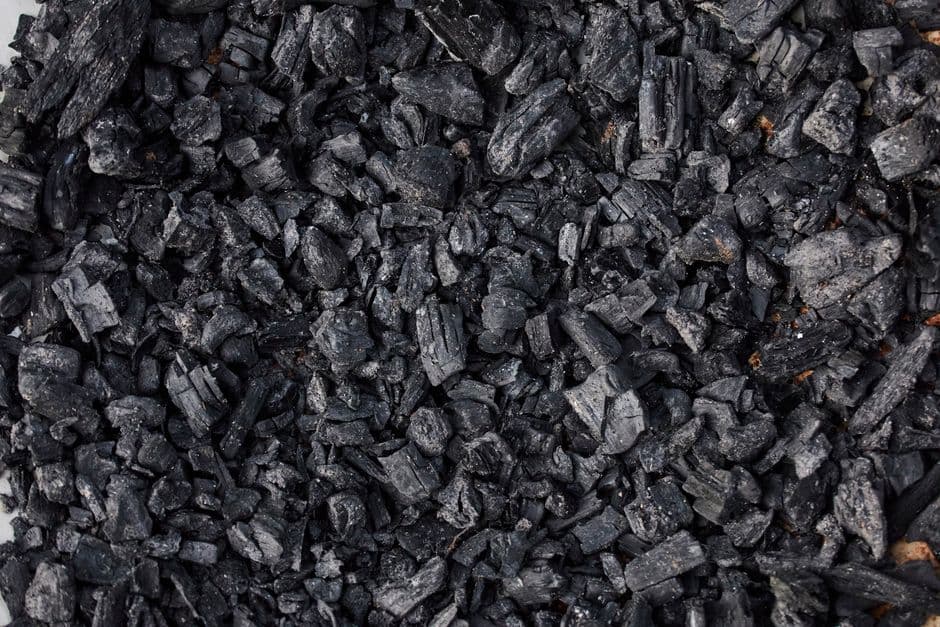 Citi closes ‘first-of-its-kind’ $72M bond for biochar project · Photo by Flint Huynh on Pexels