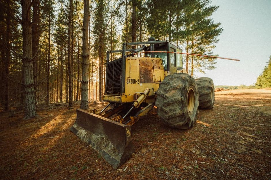 Google ordered to halt Finnish data centres after 400,000 trees felled · Photo by Matt Webster on Pexels
