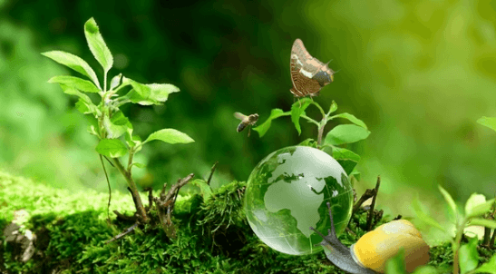 2nd Annual ESG and Climate Africa Summit